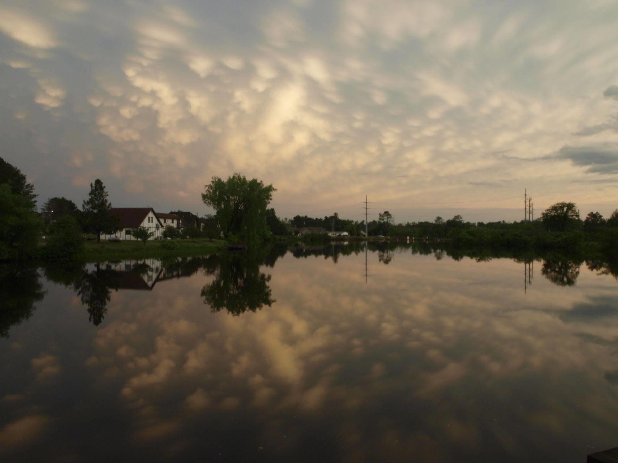 Riverside Motel Hayward Buitenkant foto